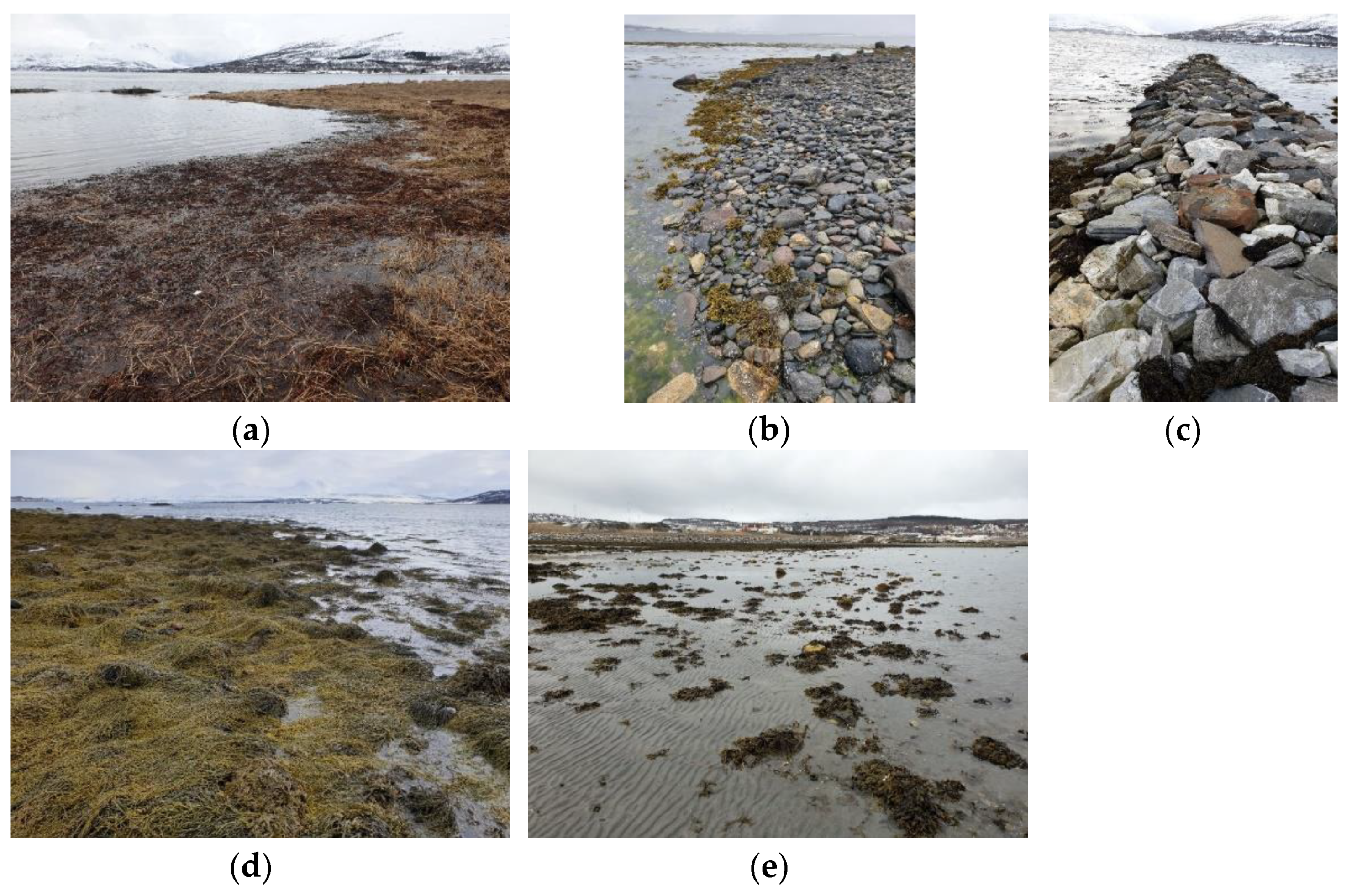 Remotesensing 13 03354 g009 550