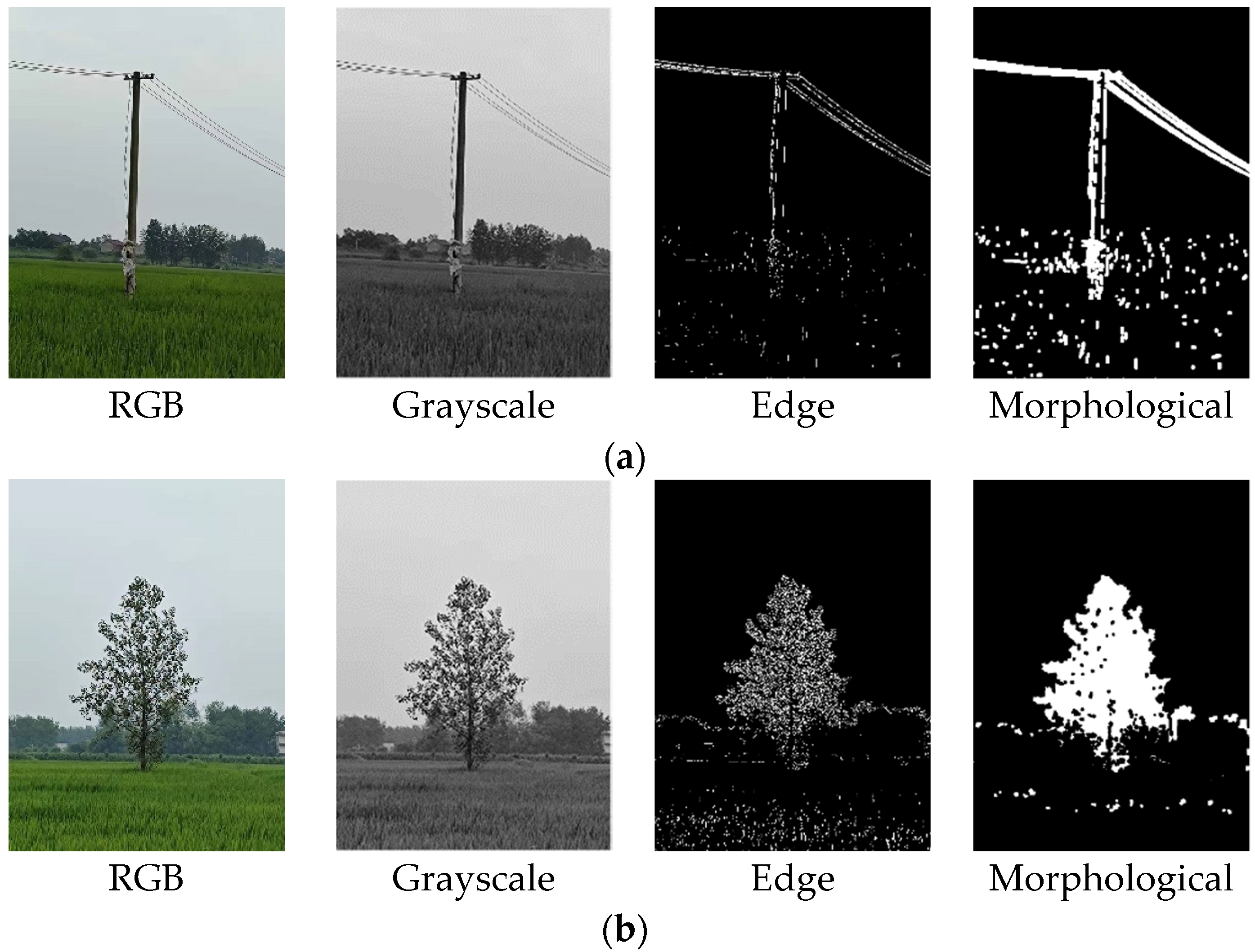 Remotesensing 13 03364 g009 550