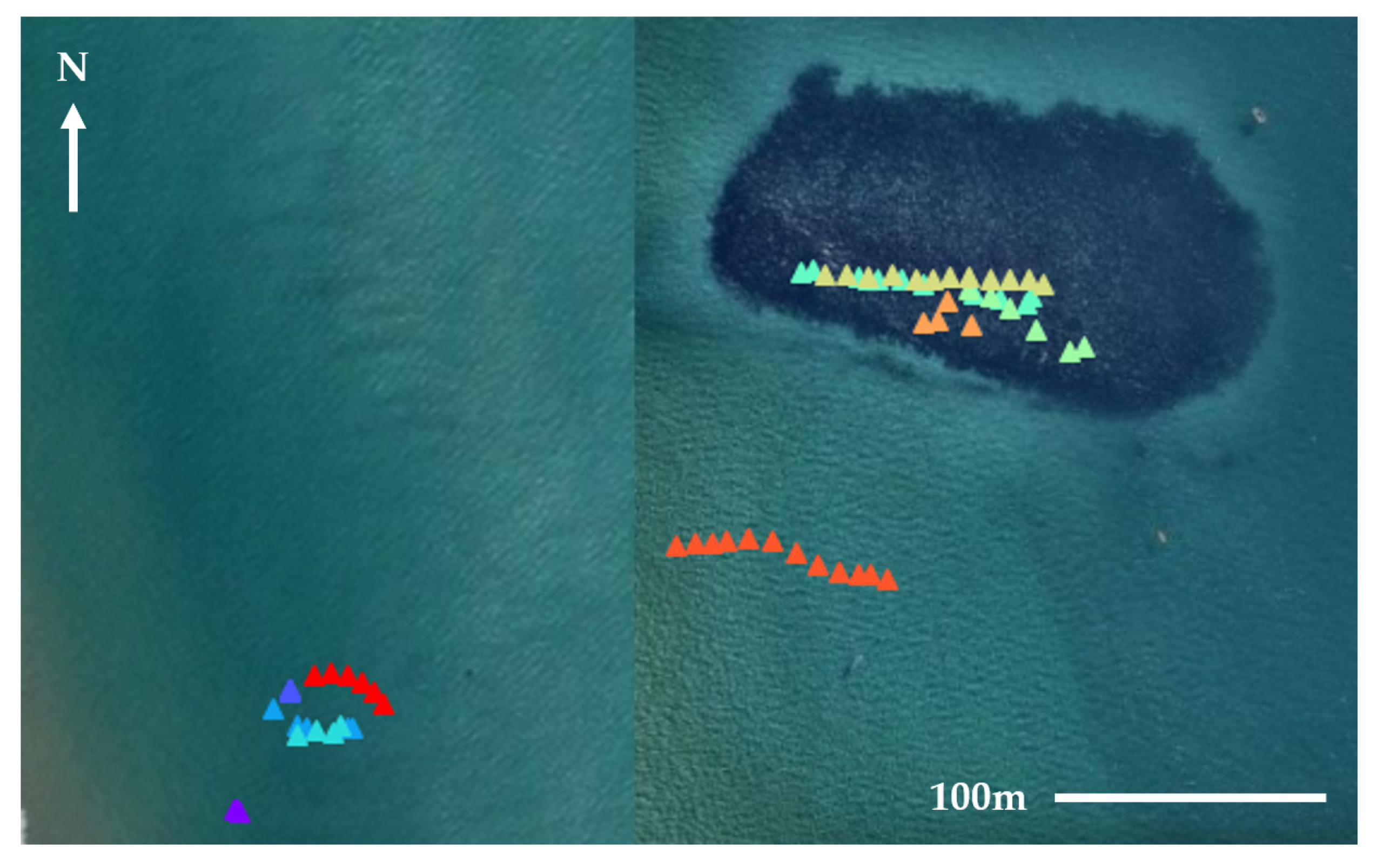 Remotesensing 13 03372 g006 550