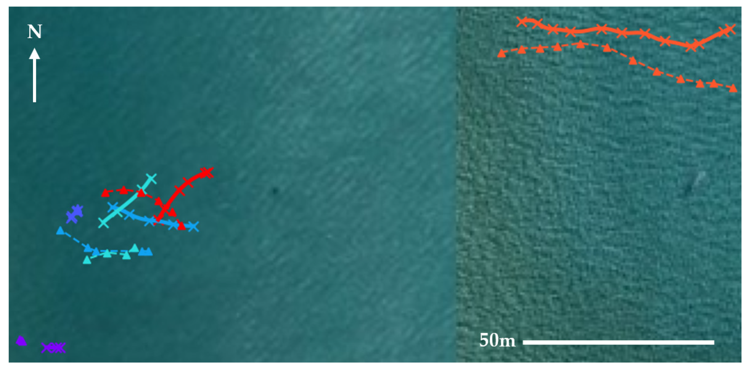 Remotesensing 13 03372 g008 550