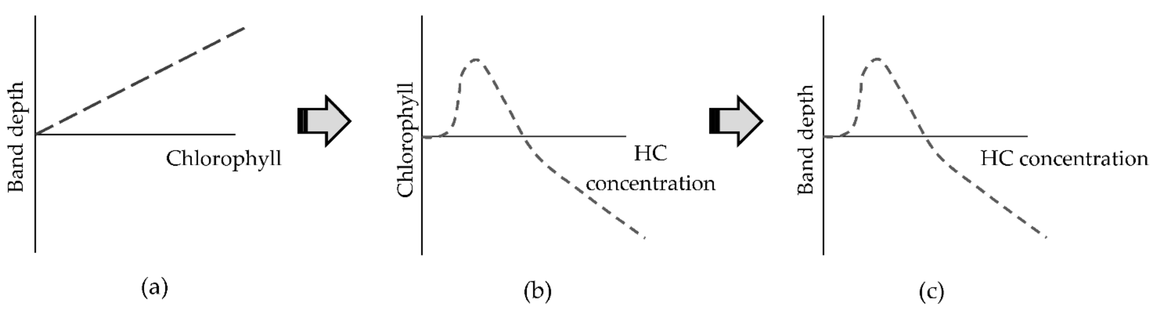 Remotesensing 13 03376 g010 Remotesensing 13 03376 g010