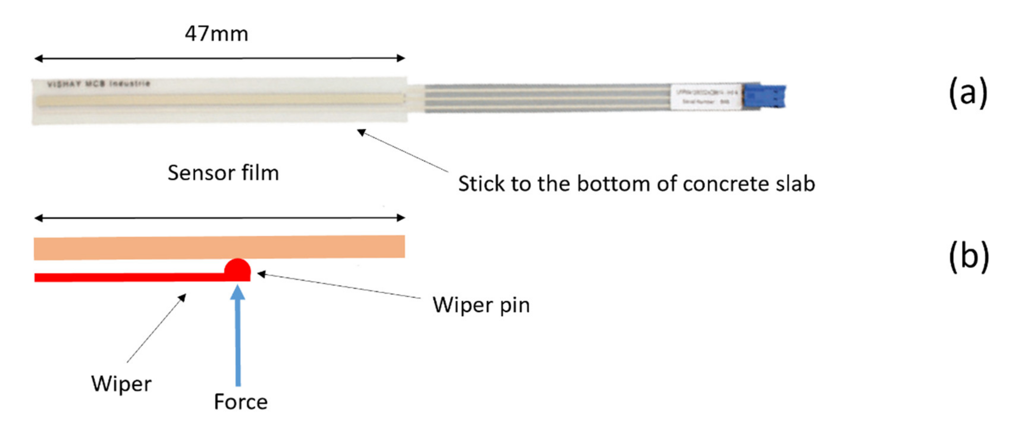 Remotesensing 13 03377 g001