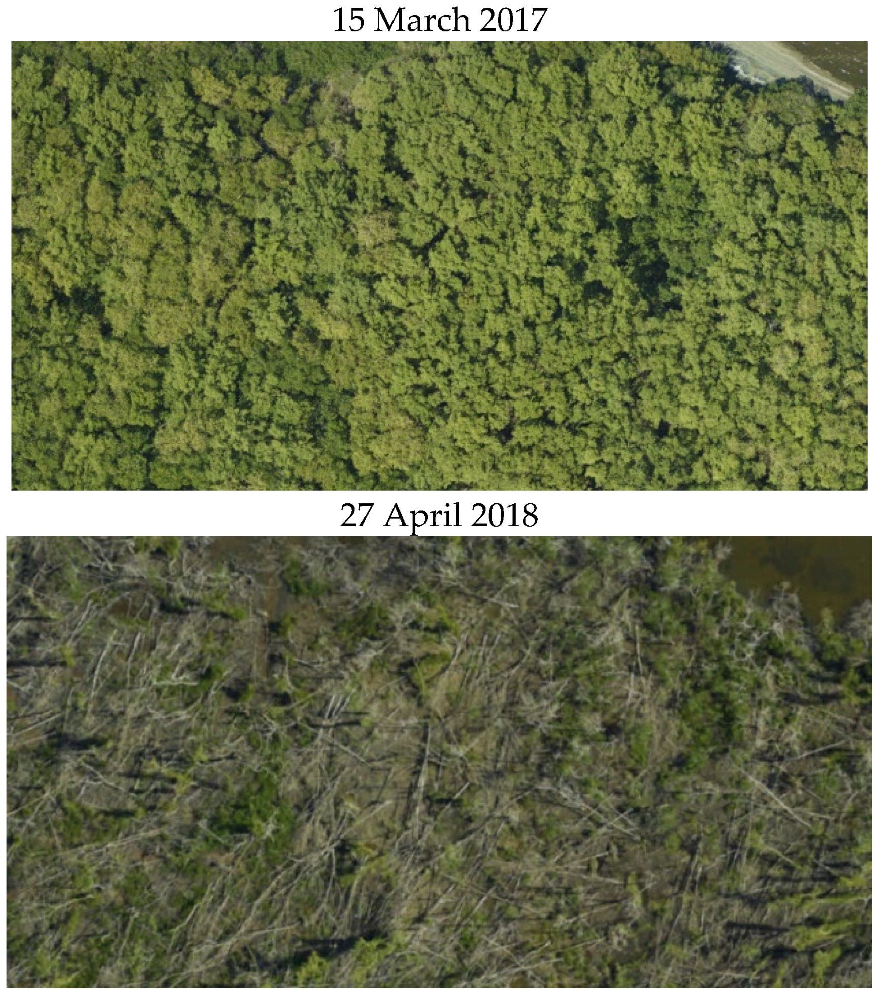 Remotesensing 13 03387 g0a2 550