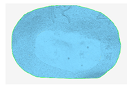 Remotesensing 13 03417 i035