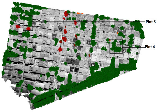 Tree Extraction from Airborne Laser Scanning Data in Urban Areas