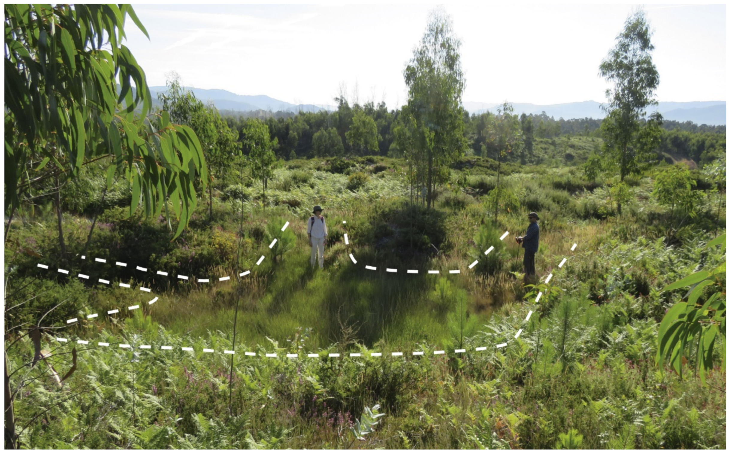 Remotesensing 13 03434 g014