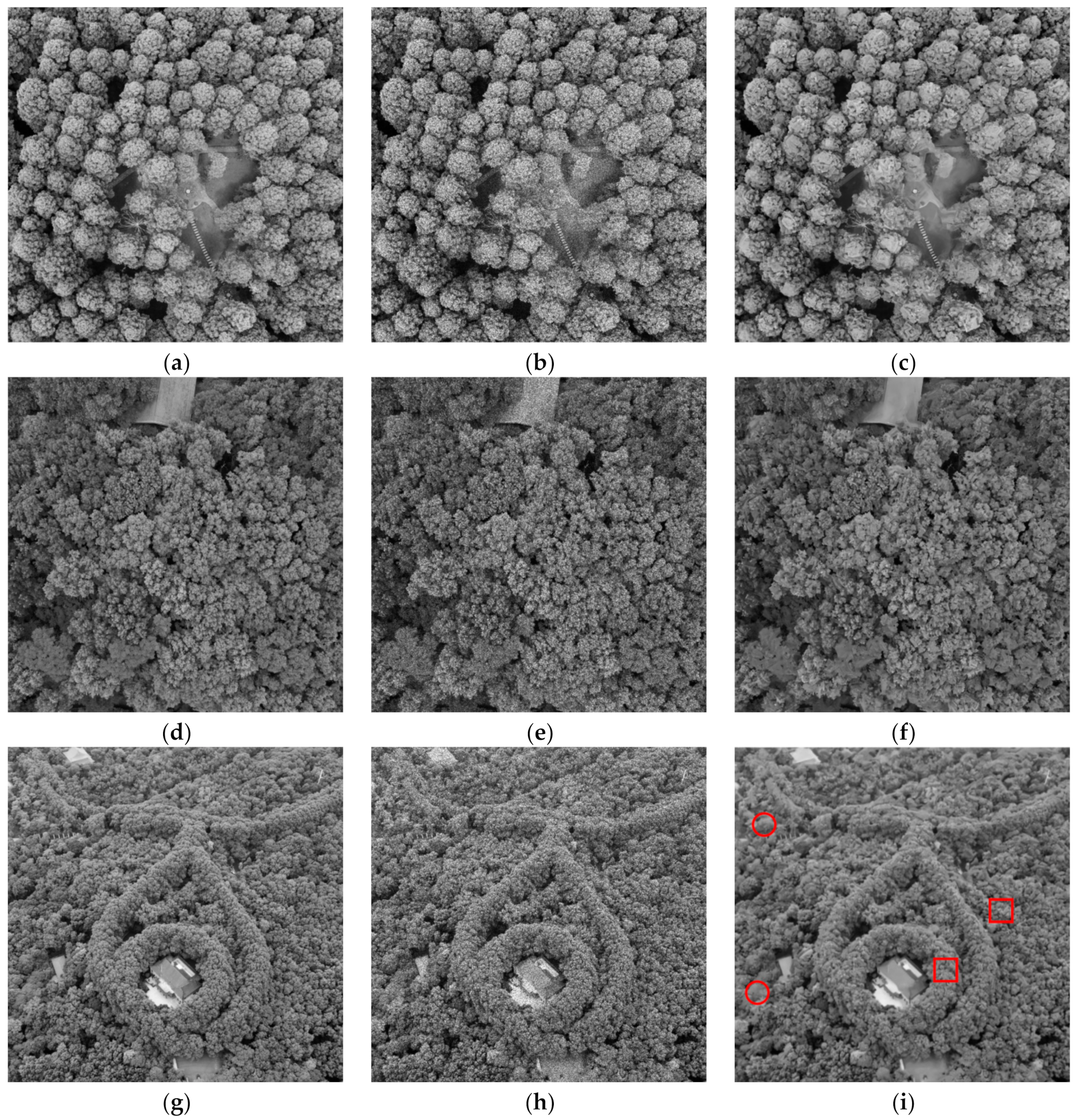 Remotesensing 13 03444 g012