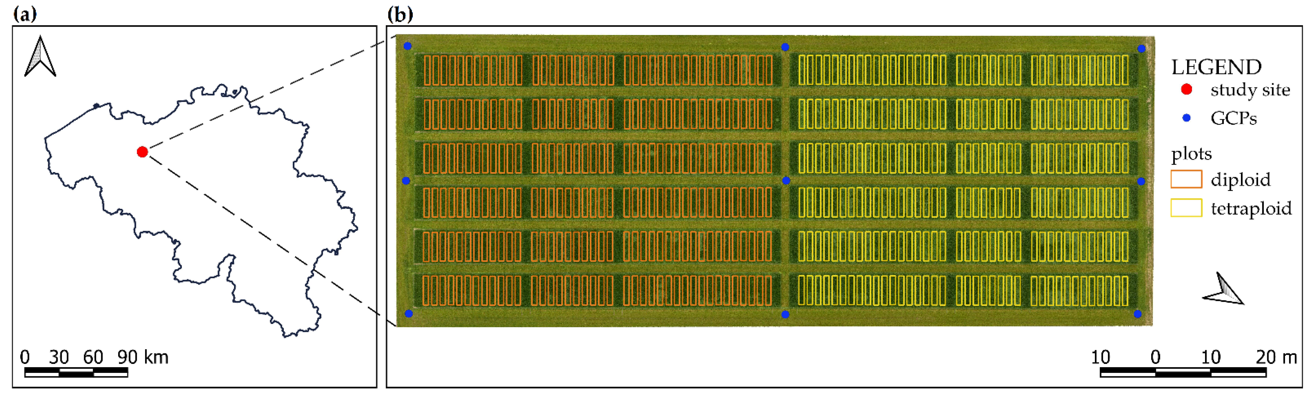 Remotesensing 13 03459 g001 550