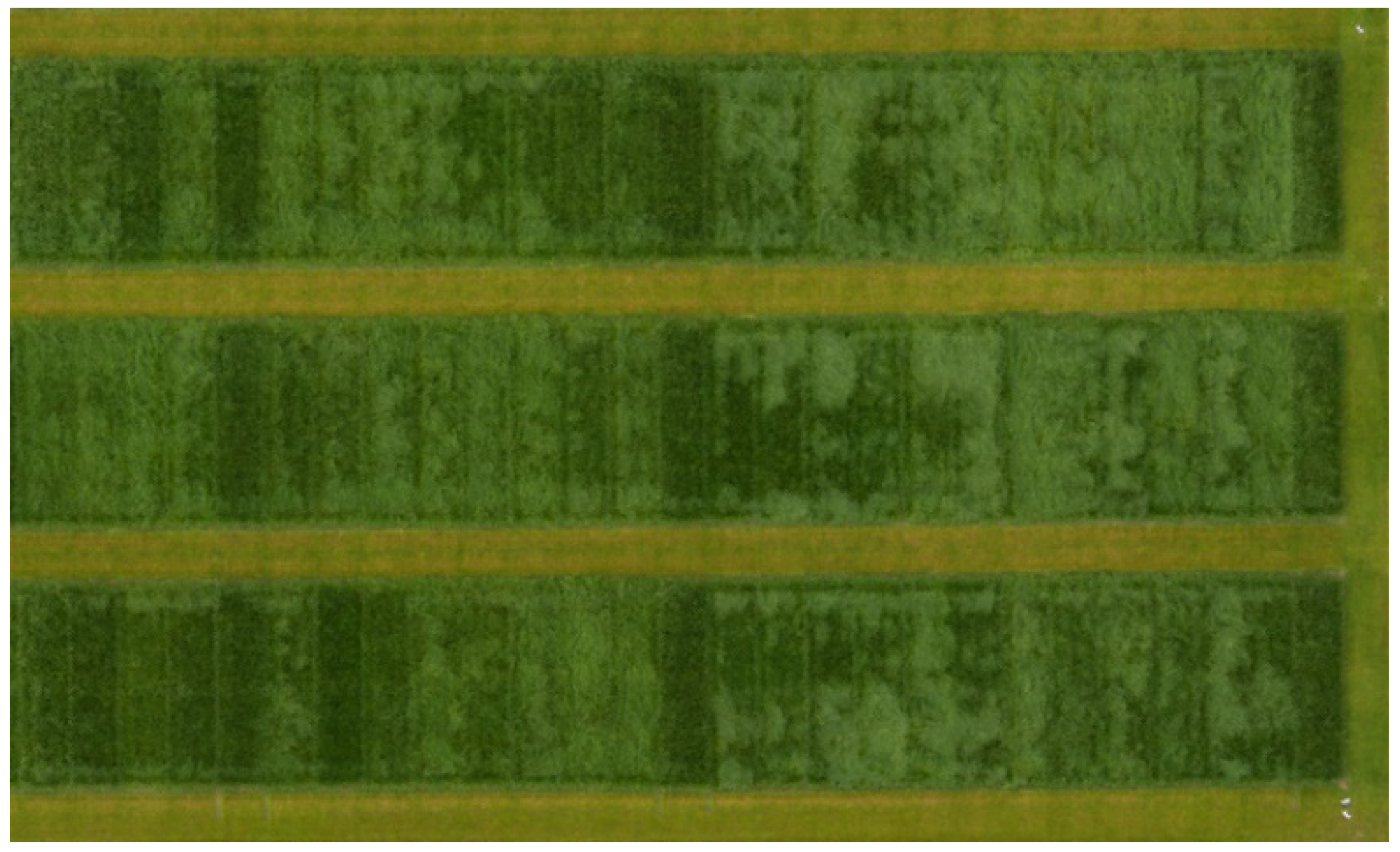 Remotesensing 13 03459 g006 550