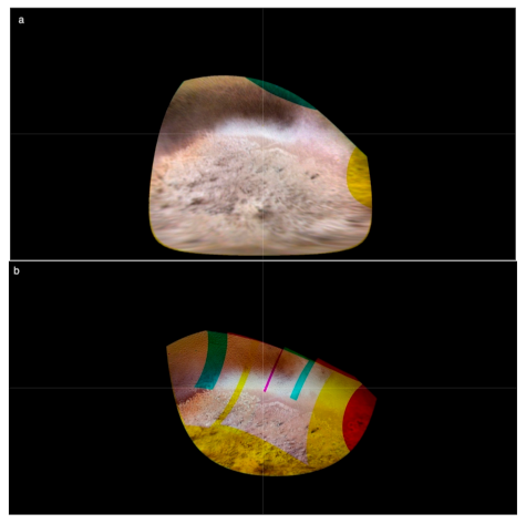 Remotesensing 13 03476 g002a Remotesensing 13 03476 g002a