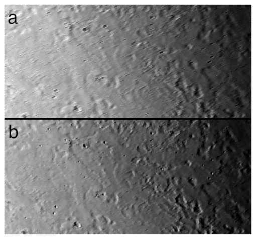 Remotesensing 13 03476 g007 Remotesensing 13 03476 g007