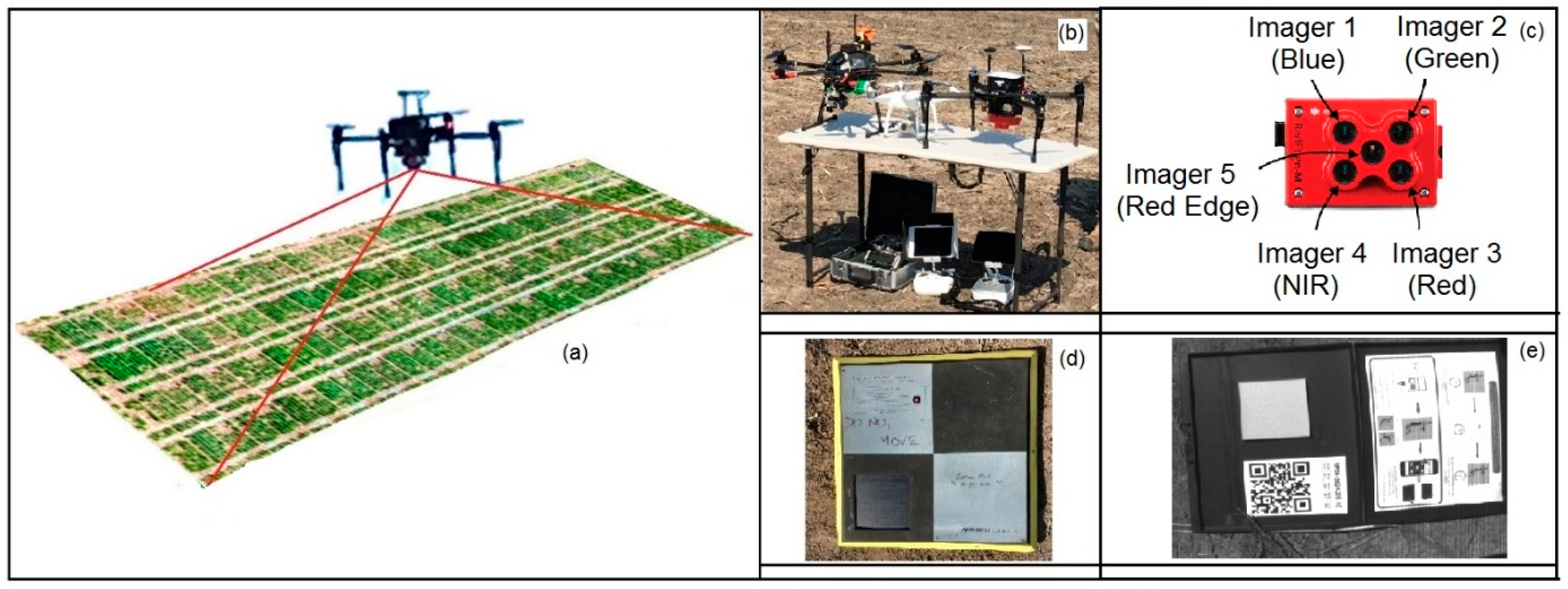 Remotesensing 13 03482 g004 Remotesensing 13 03482 g004