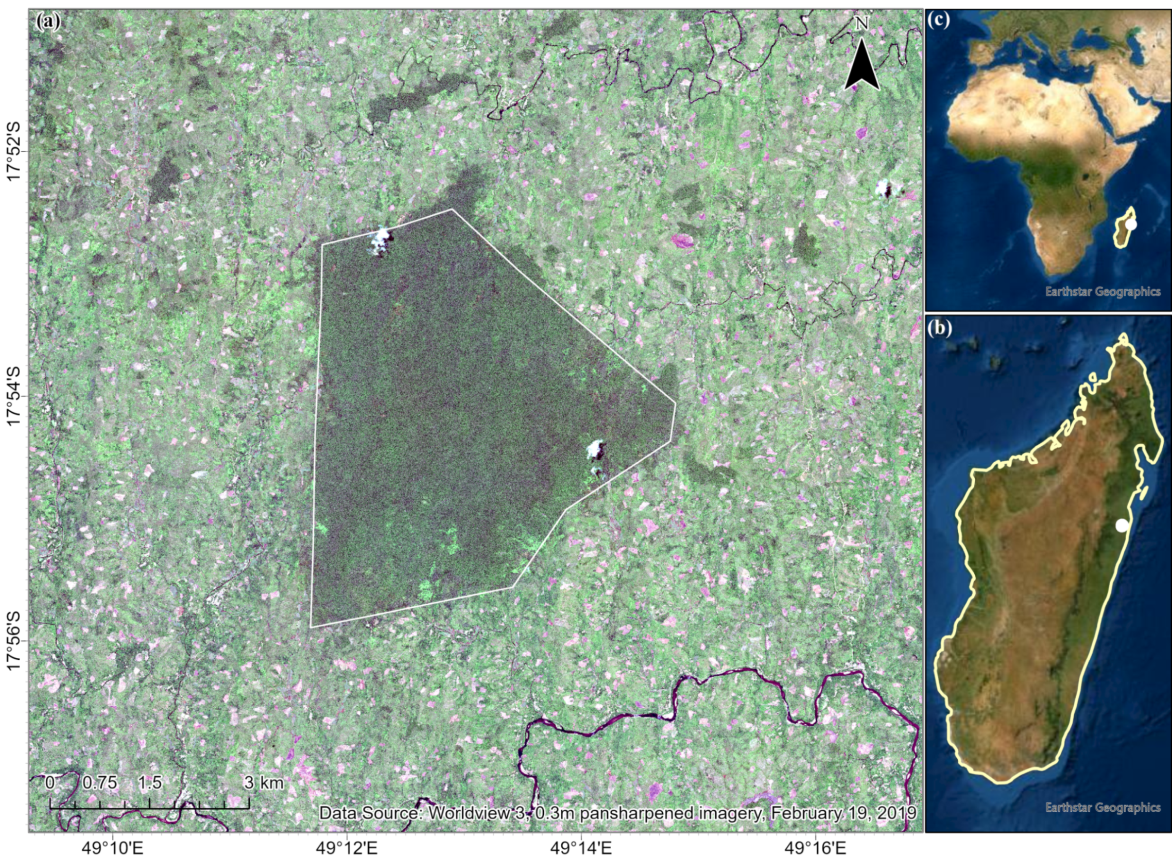 Remotesensing 13 03495 g001 550