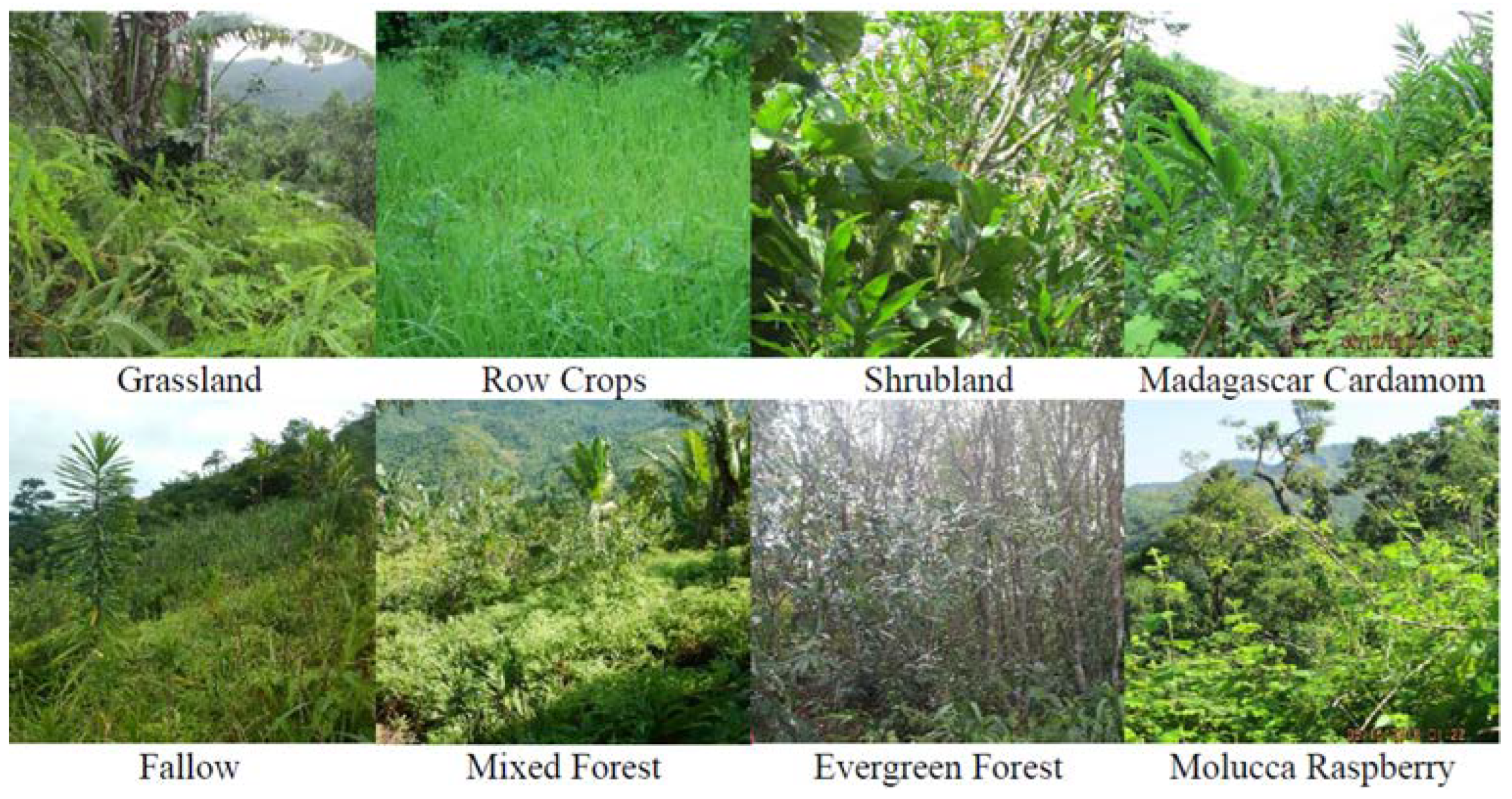 Remotesensing 13 03495 g002 550