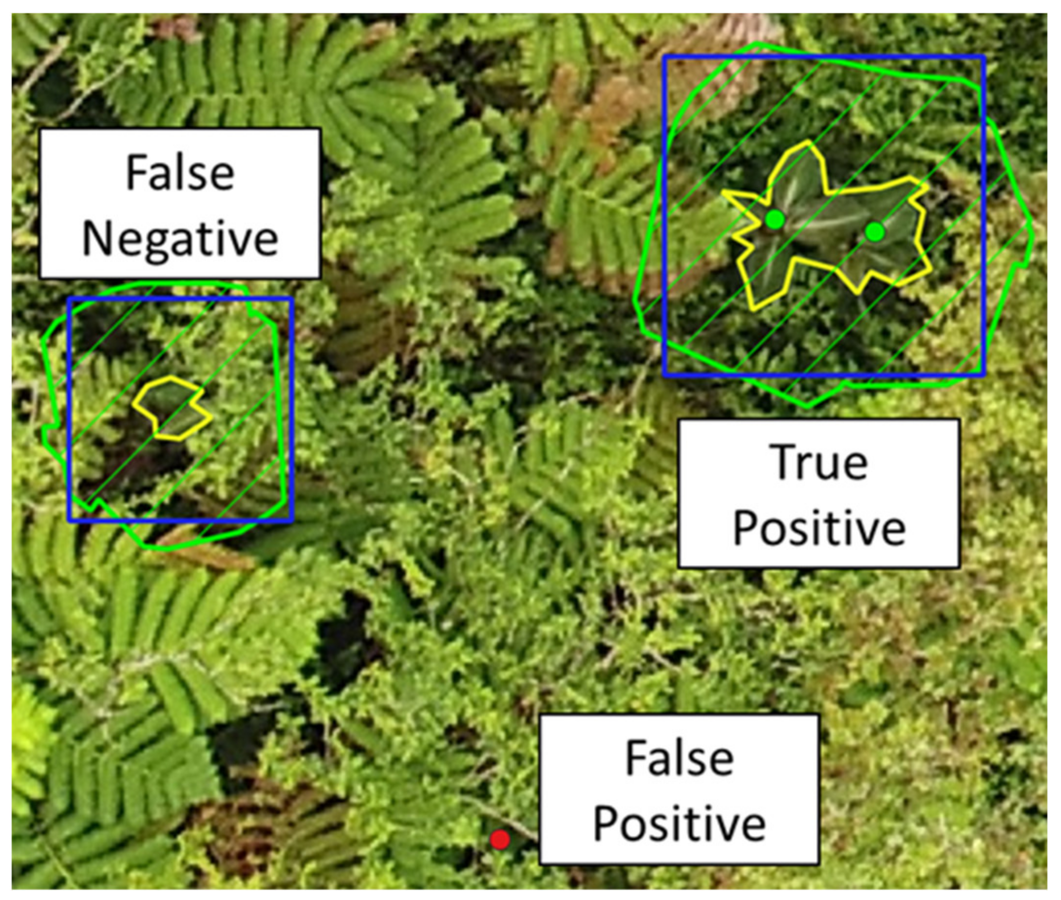 Remotesensing 13 03503 g002