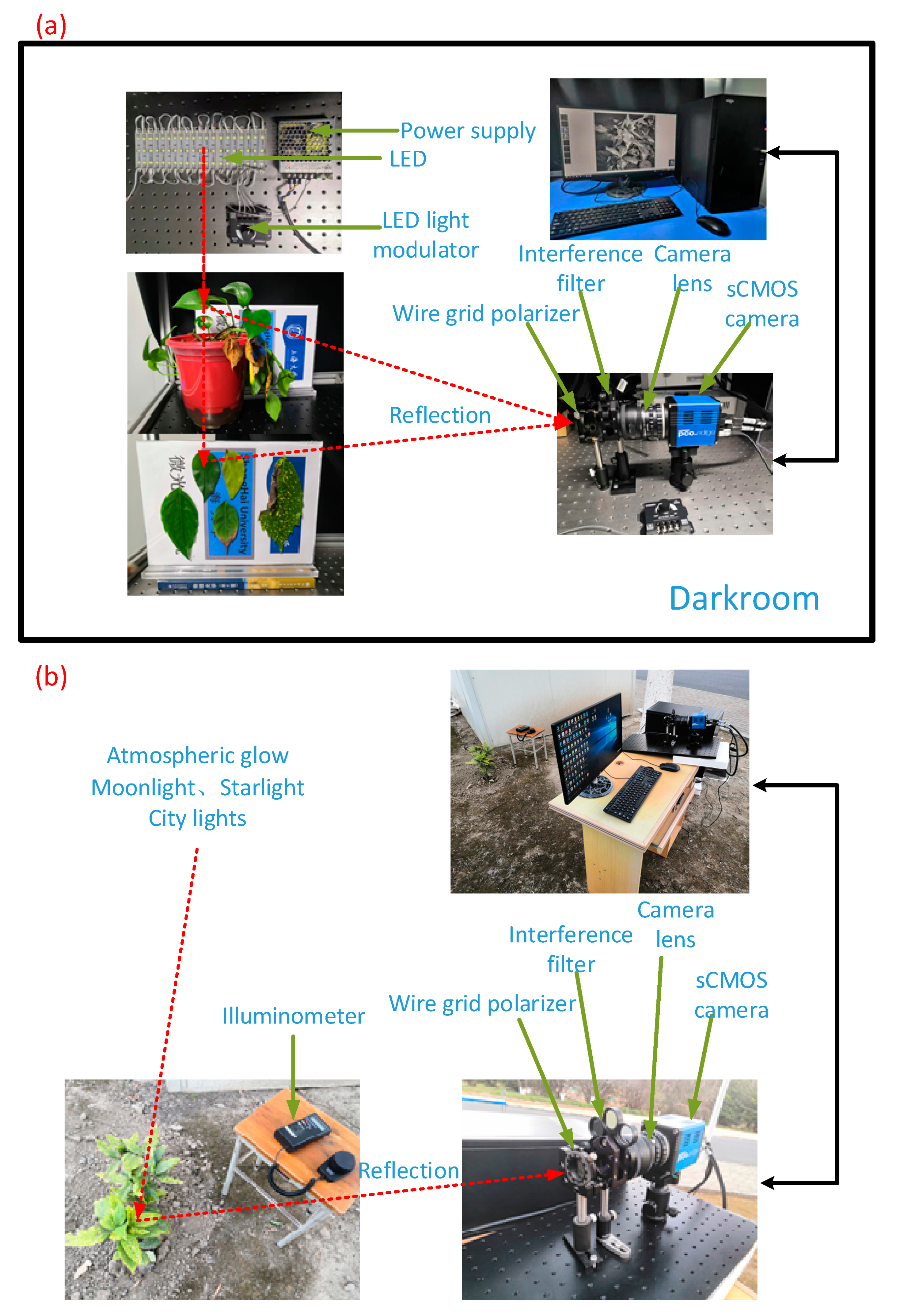 Remotesensing 13 03510 g002 550