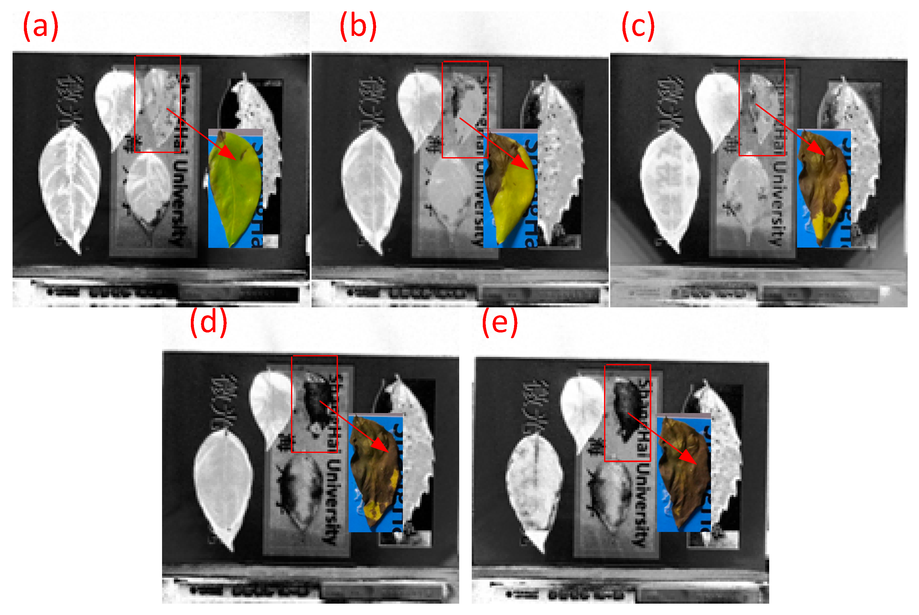 Remotesensing 13 03510 g010 550