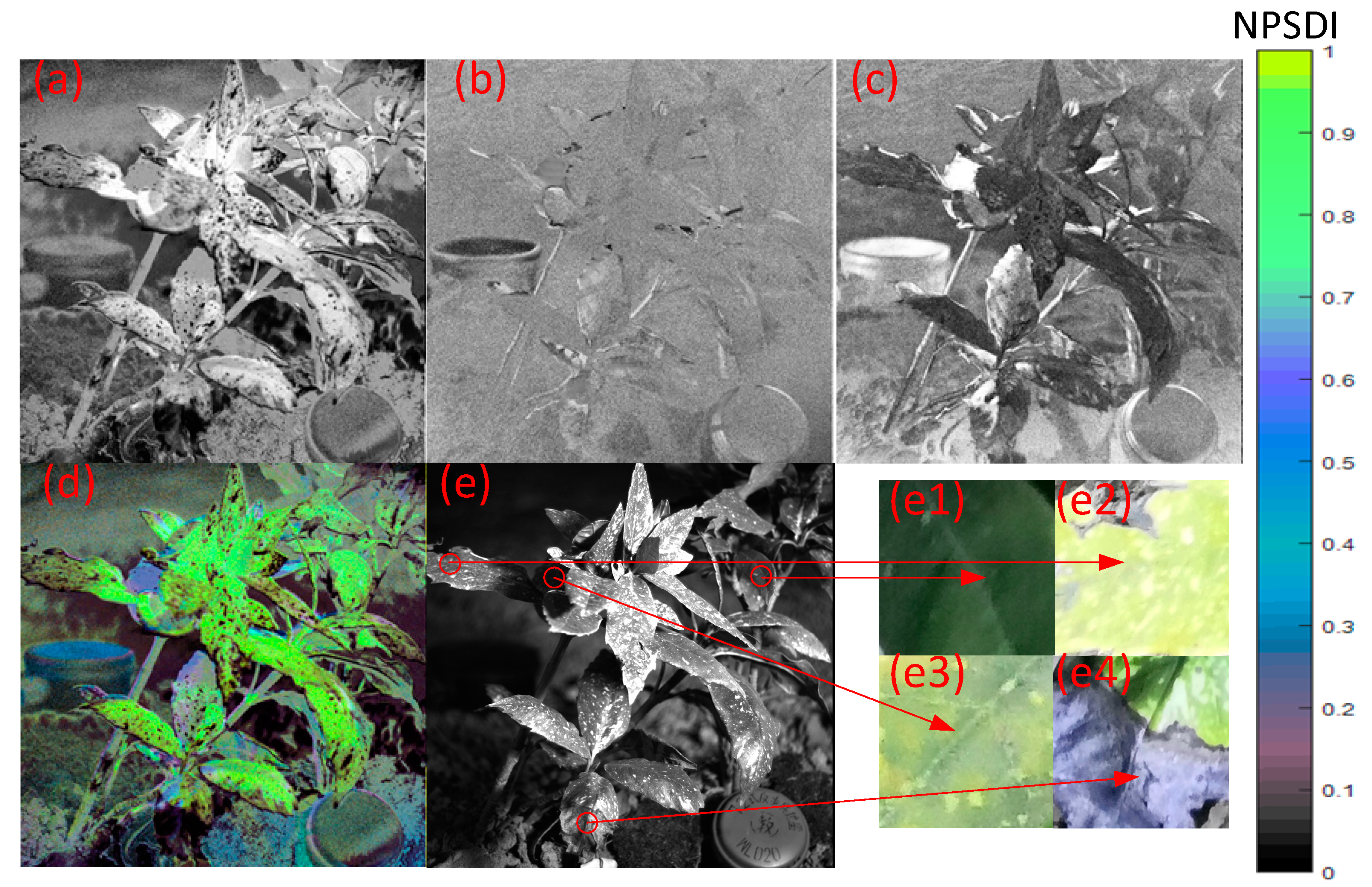 Remotesensing 13 03510 g012 550