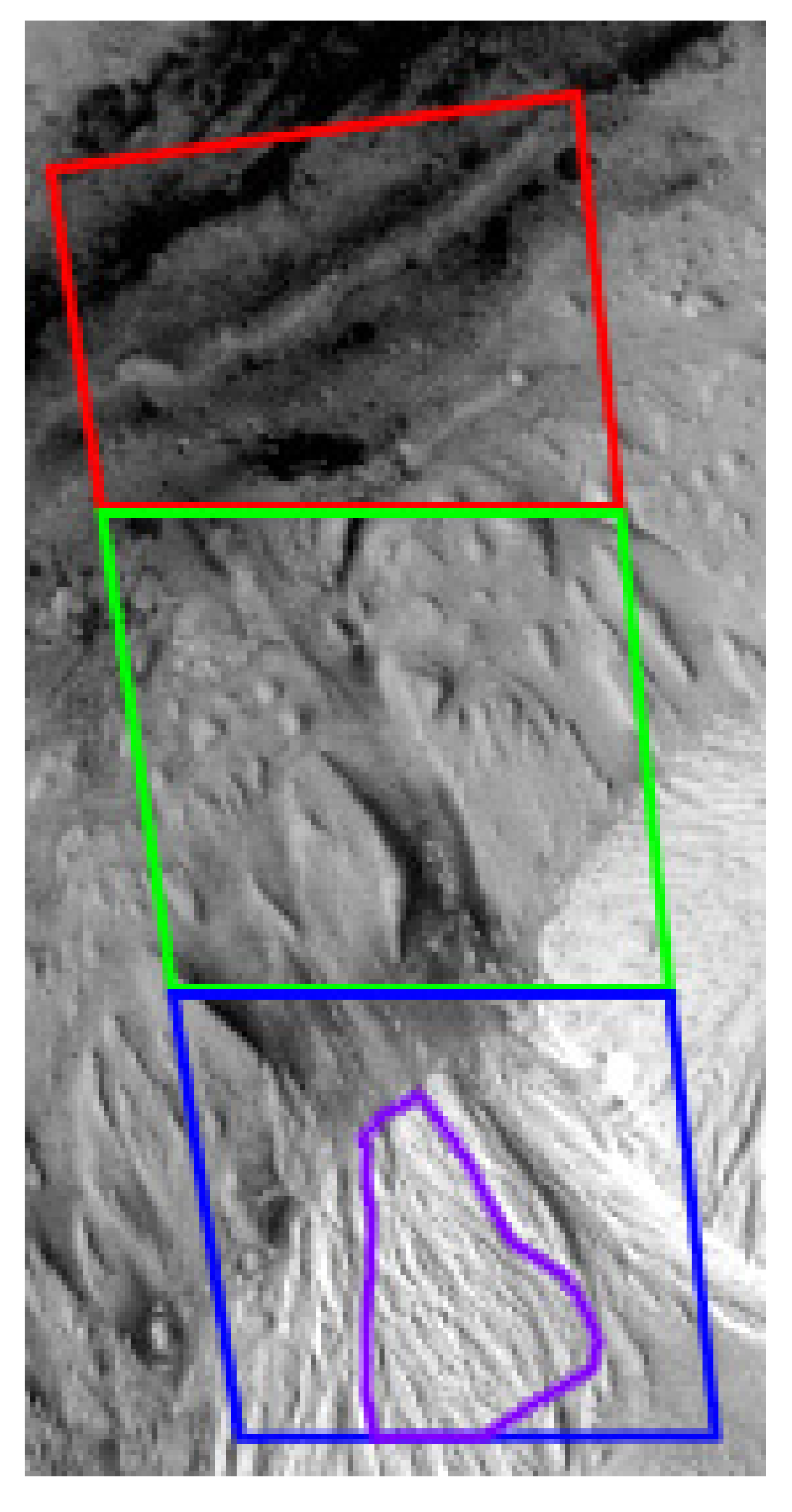 Remotesensing 13 03511 g001 Remotesensing 13 03511 g001