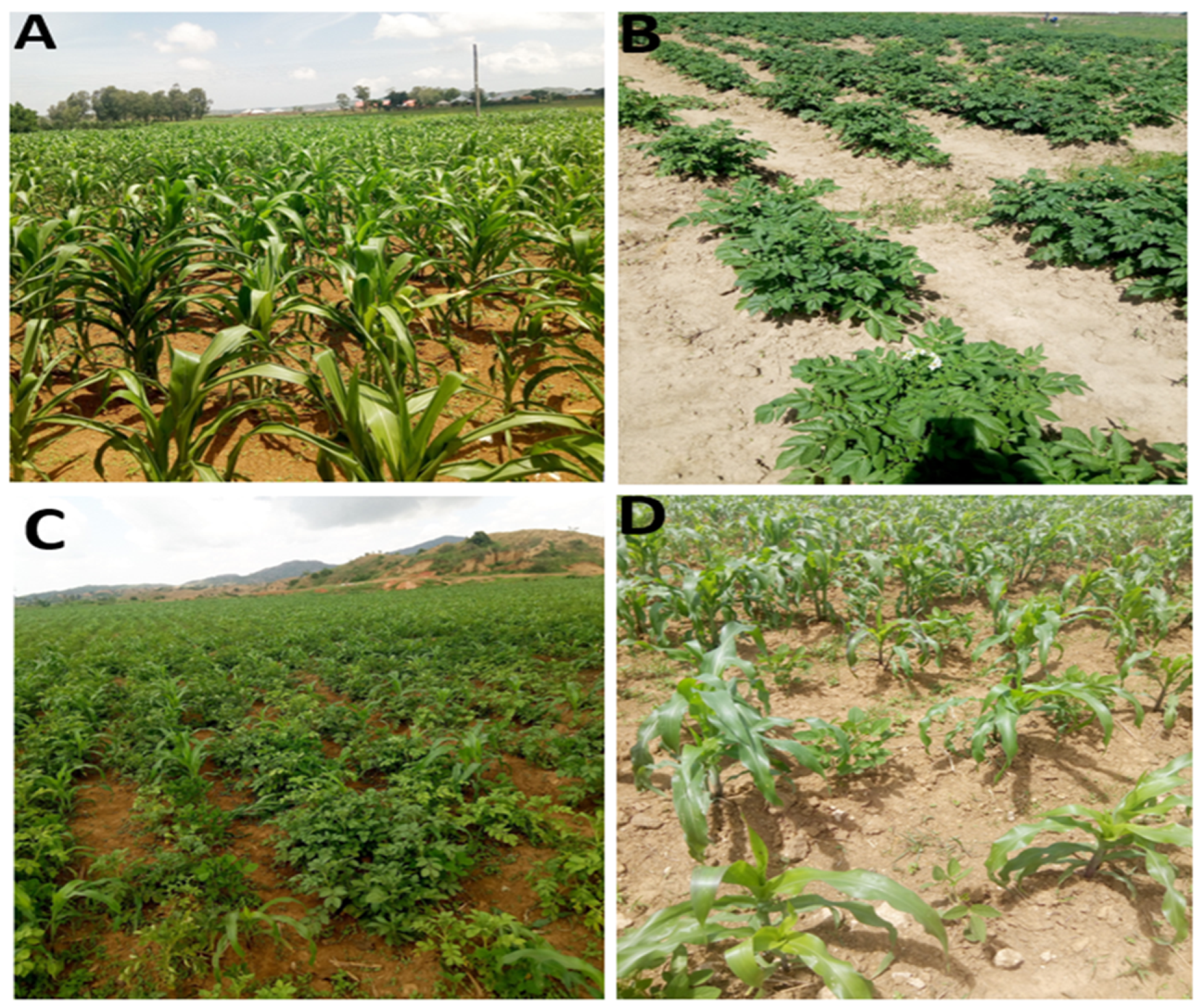 Remotesensing 13 03523 g002