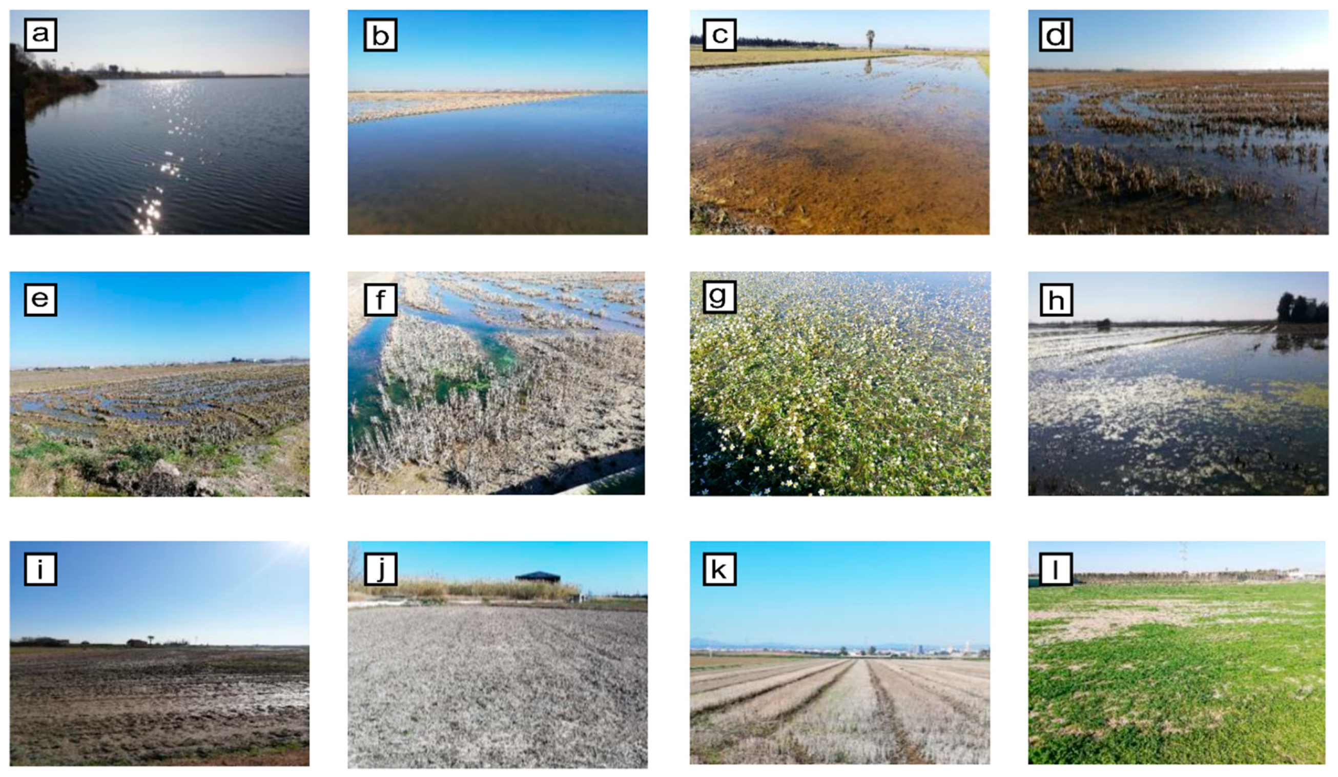 Remotesensing 13 03525 g003 550