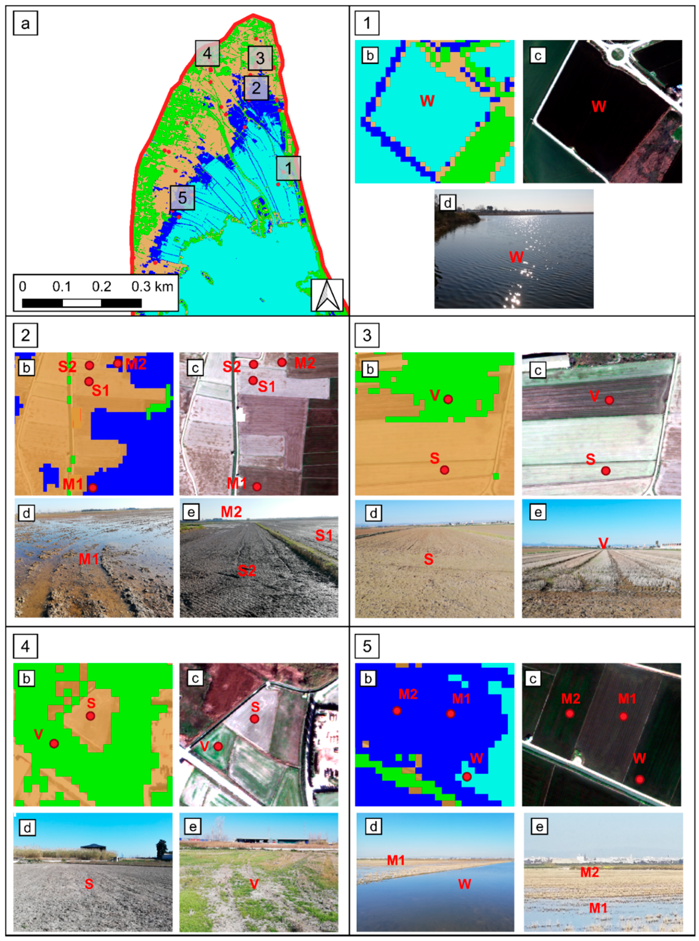 Remotesensing 13 03525 g006 550