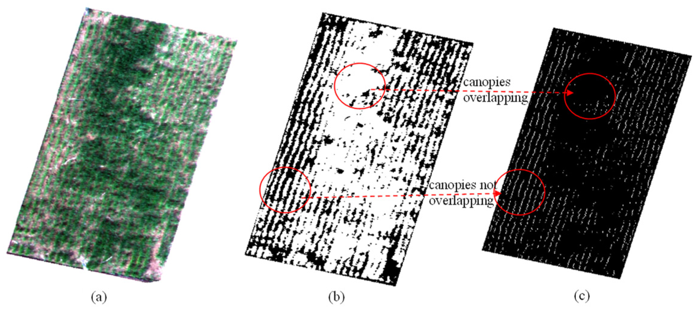 Remotesensing 13 03526 g011