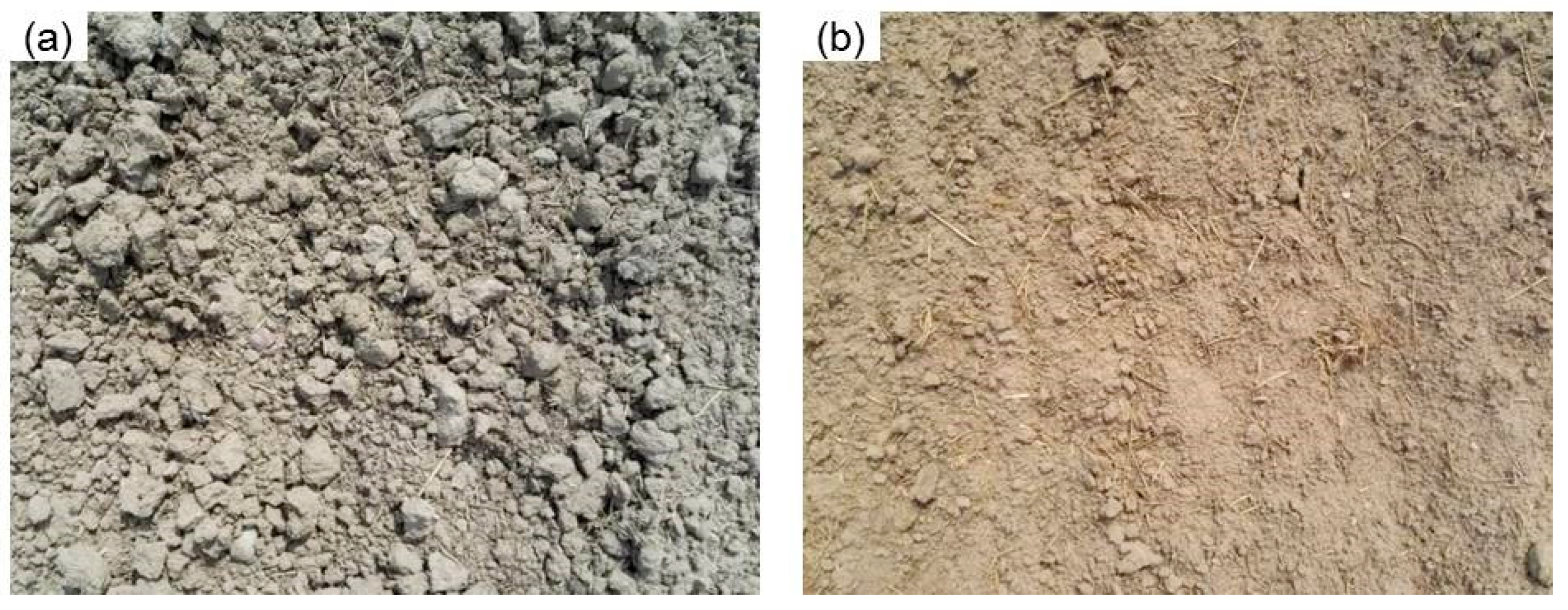 Remotesensing 13 03557 g005 550