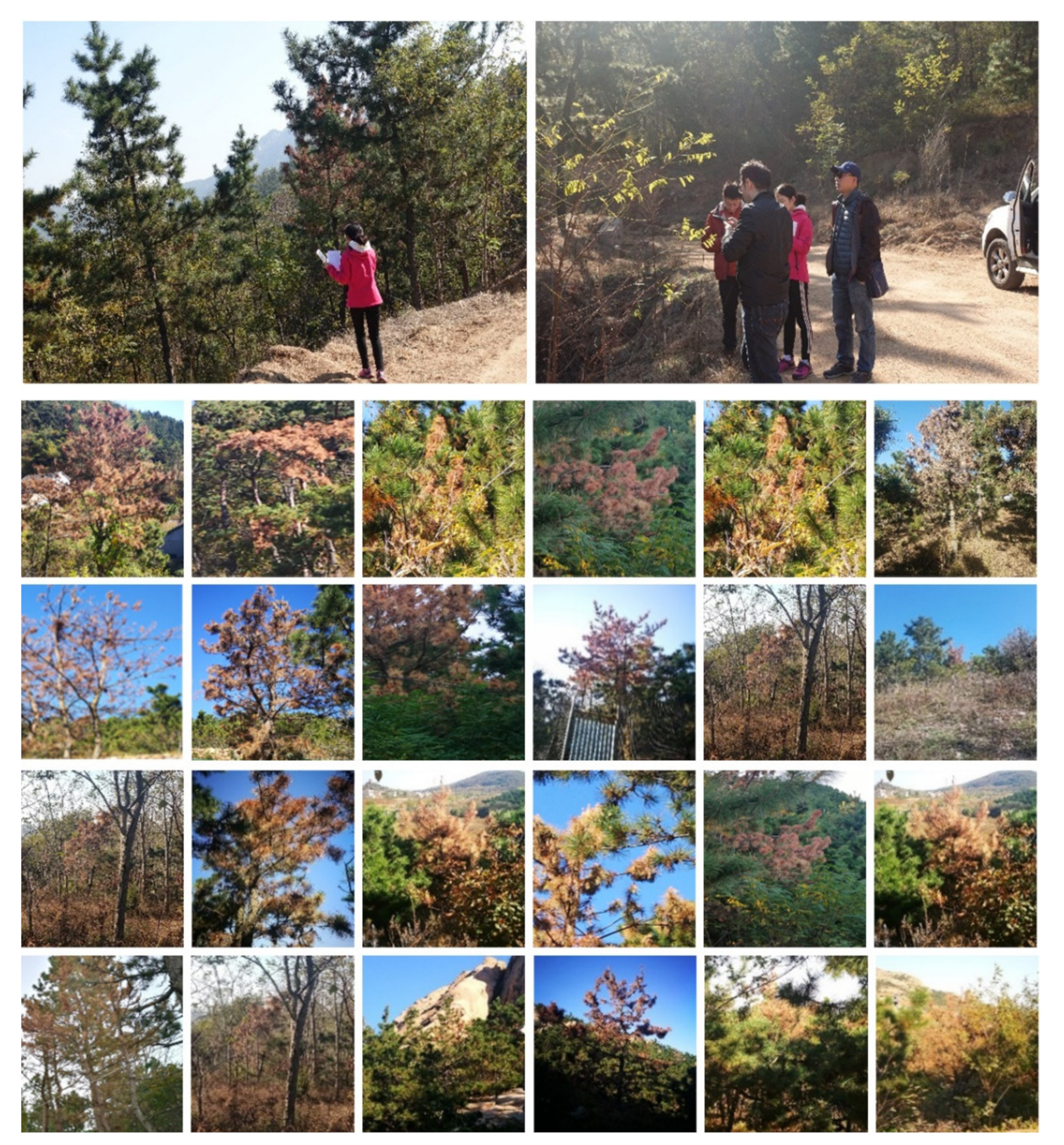 Remotesensing 13 03594 g002 550