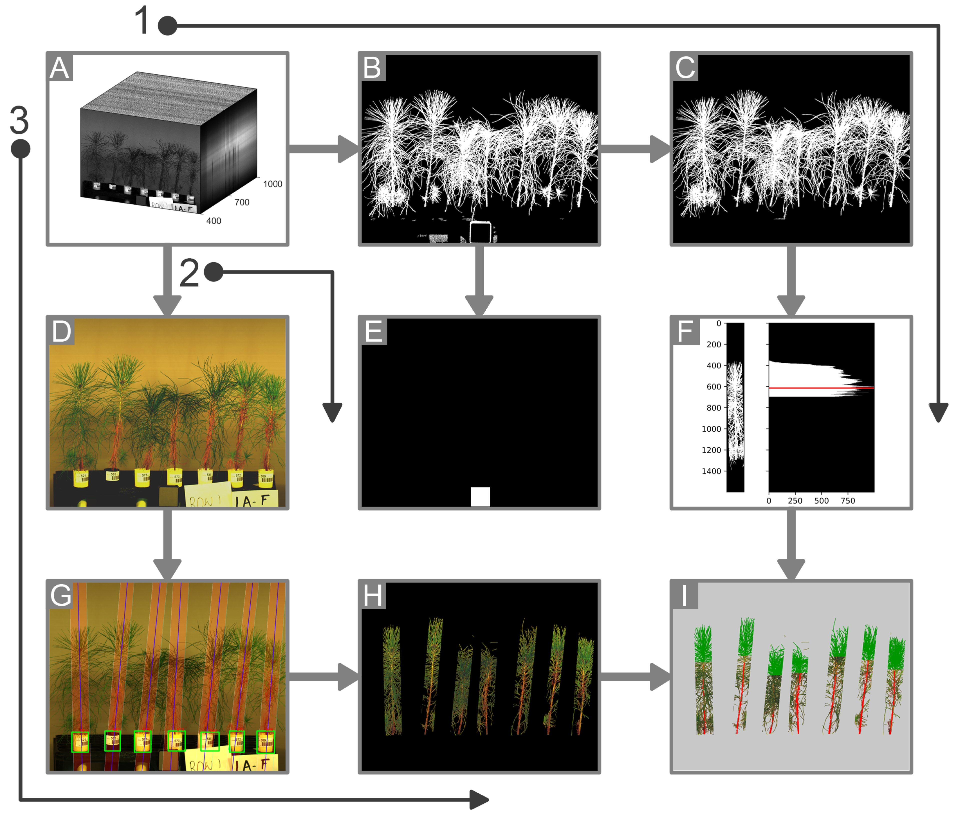 Remotesensing 13 03595 g003 550