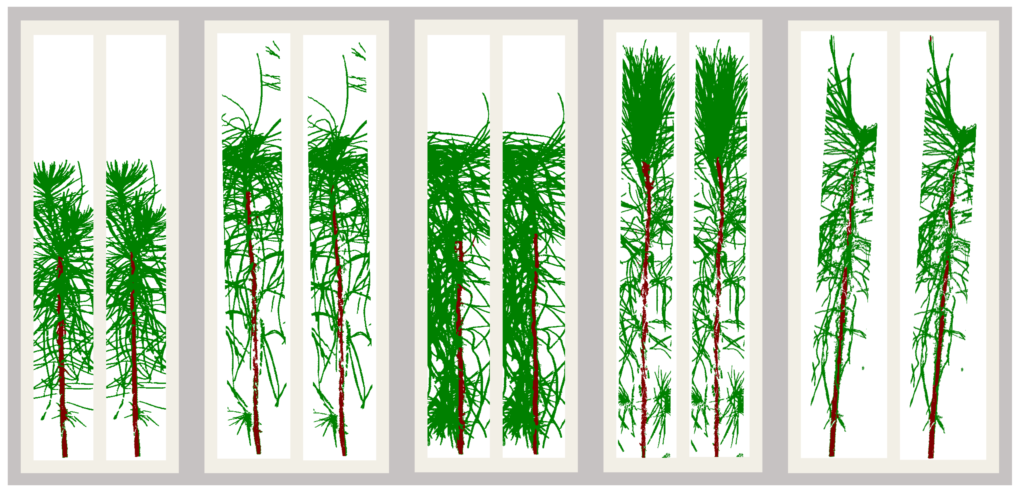 Remotesensing 13 03595 g006 550