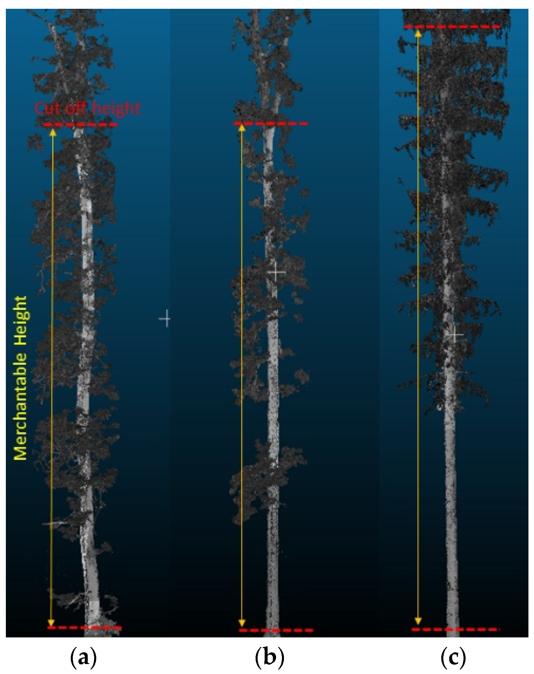 Remotesensing 13 03610 g002