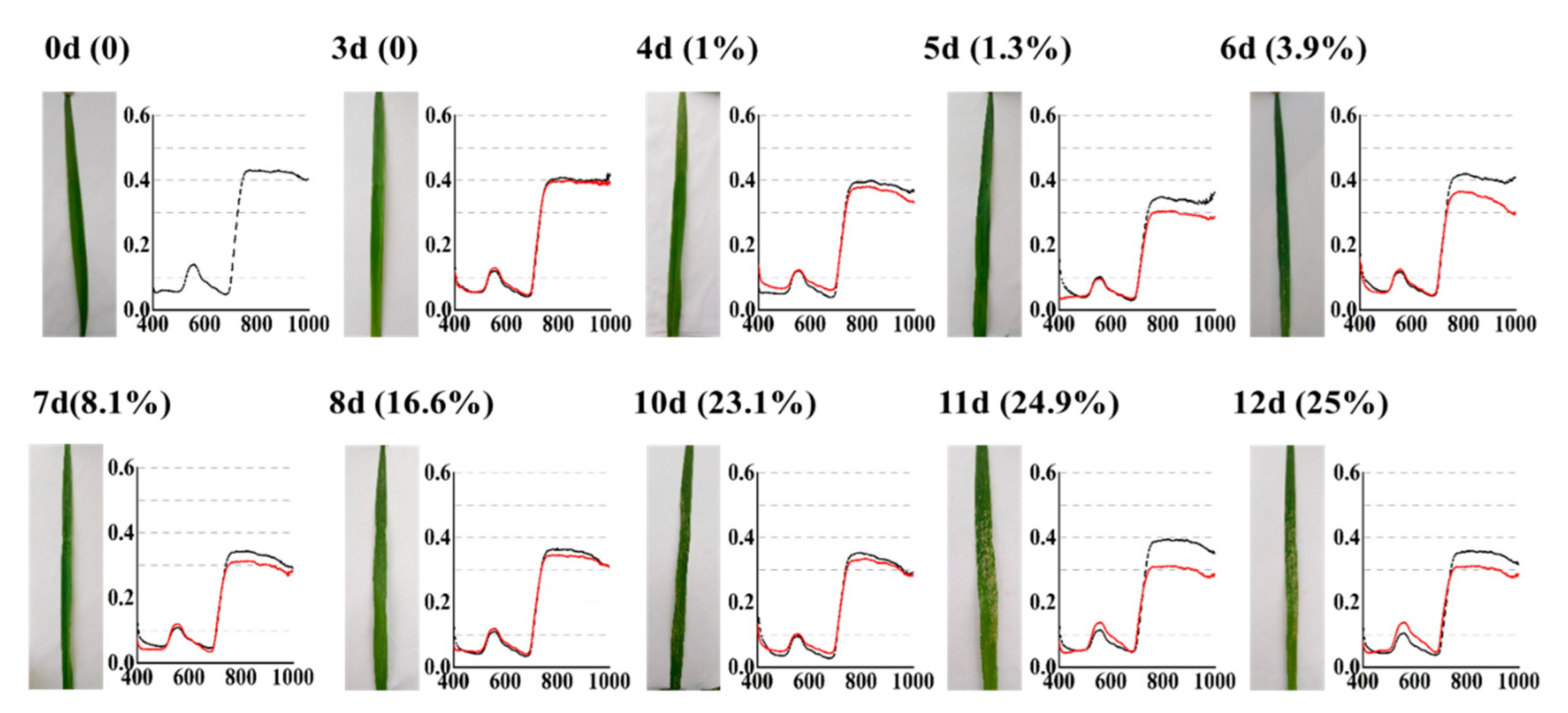Remotesensing 13 03612 g003