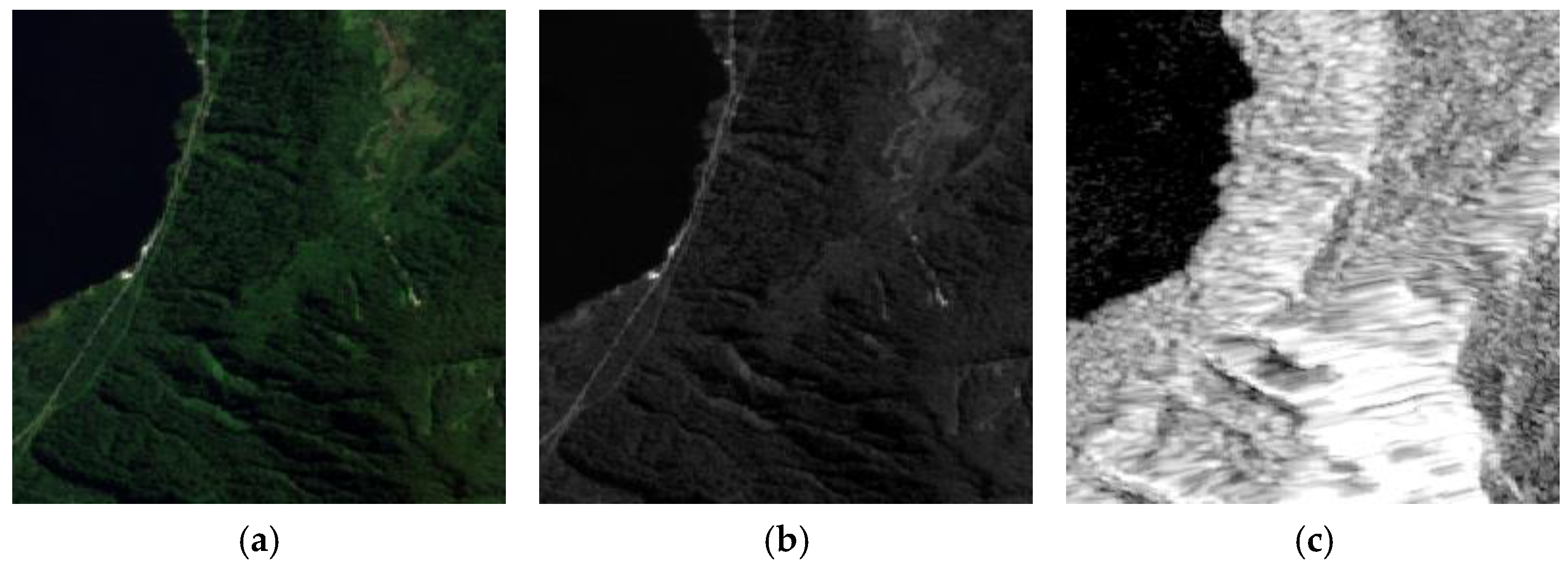 Remotesensing 13 03636 g001