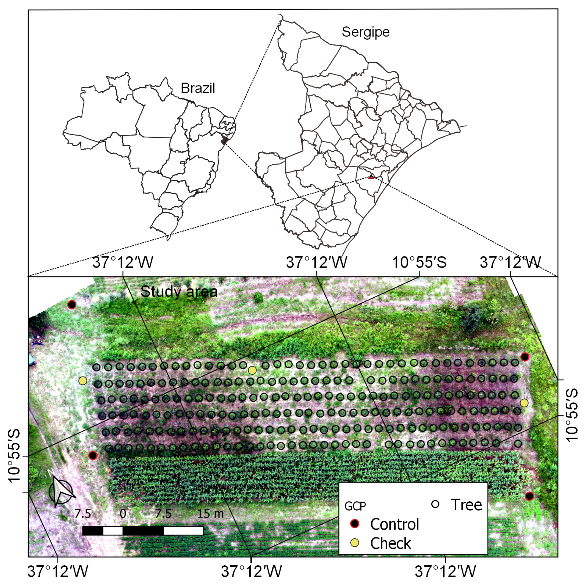 Remotesensing 13 03655 g001