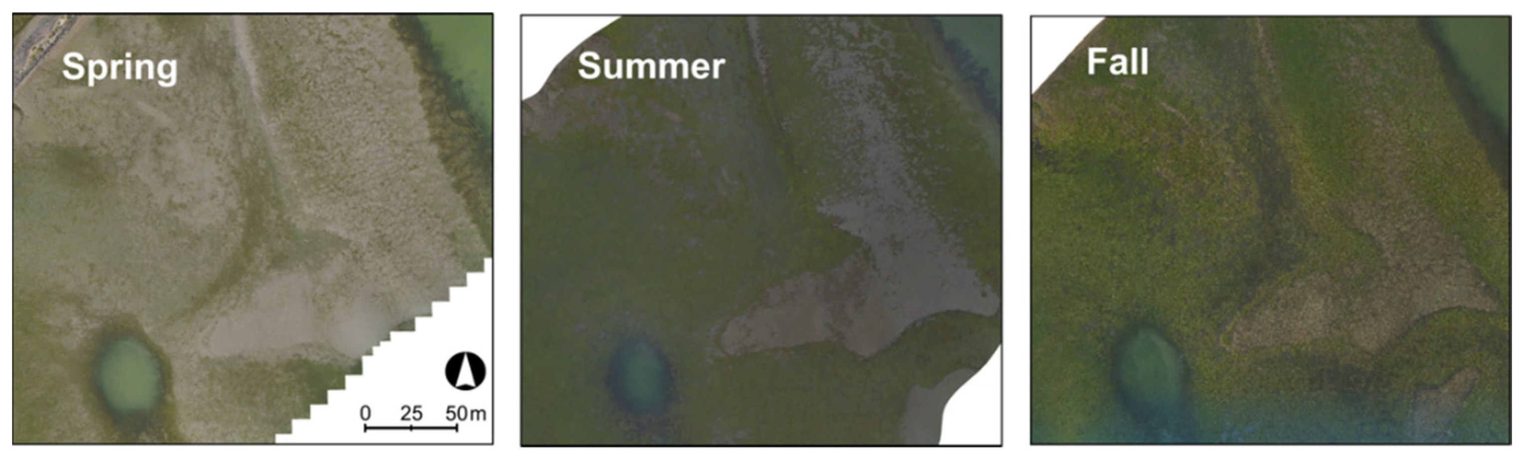 Remotesensing 13 03681 g006 Remotesensing 13 03681 g006