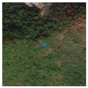 Remotesensing 13 03684 i003 Remotesensing 13 03684 i003