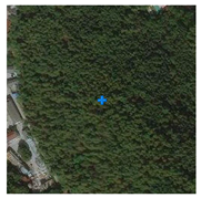 Remotesensing 13 03684 i005 Remotesensing 13 03684 i005