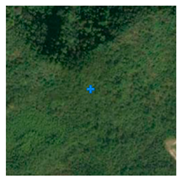 Remotesensing 13 03684 i006 Remotesensing 13 03684 i006