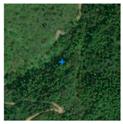 Remotesensing 13 03684 i007 Remotesensing 13 03684 i007