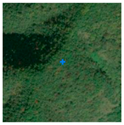 Remotesensing 13 03684 i009 Remotesensing 13 03684 i009