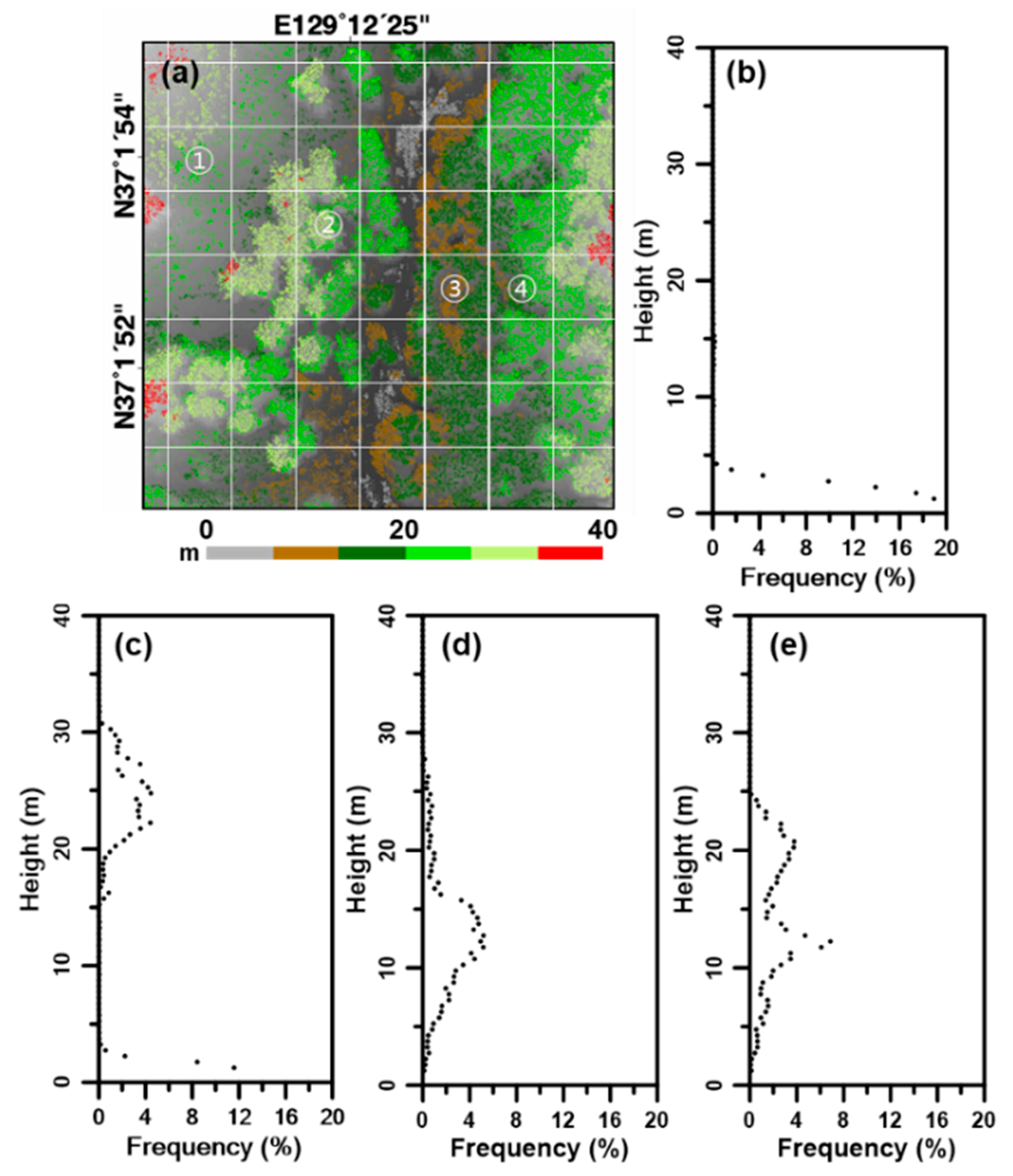 Remotesensing 13 03736 g005