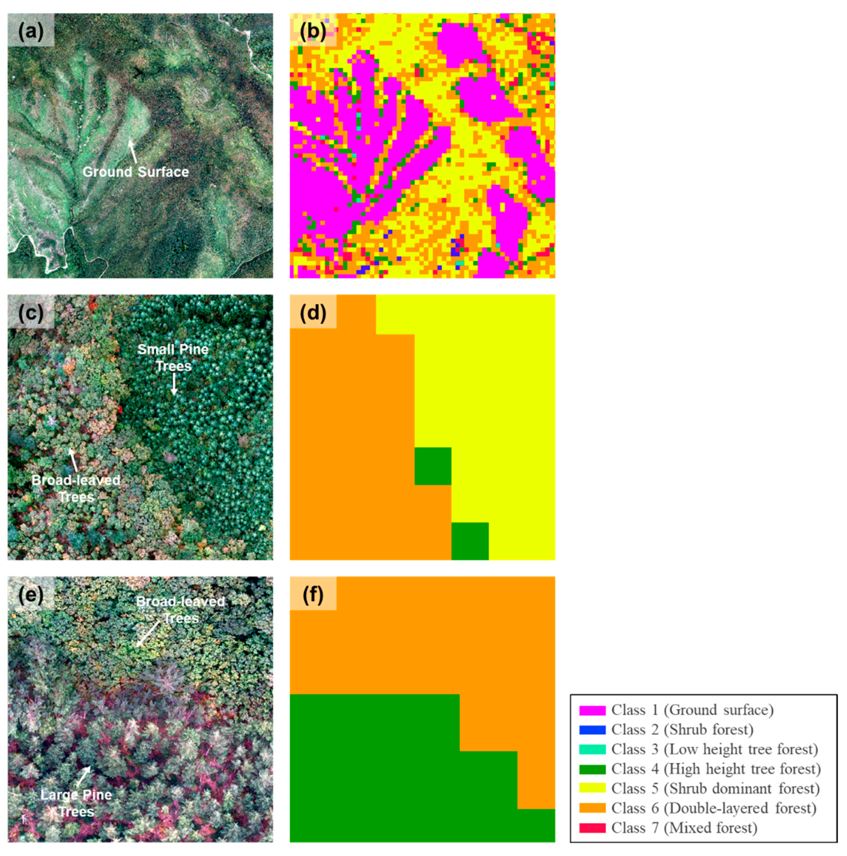 Remotesensing 13 03736 g008