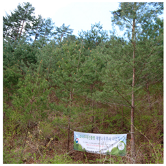 Remotesensing 13 03736 i006