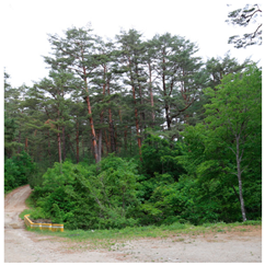 Remotesensing 13 03736 i010