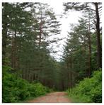 Remotesensing 13 03736 i015