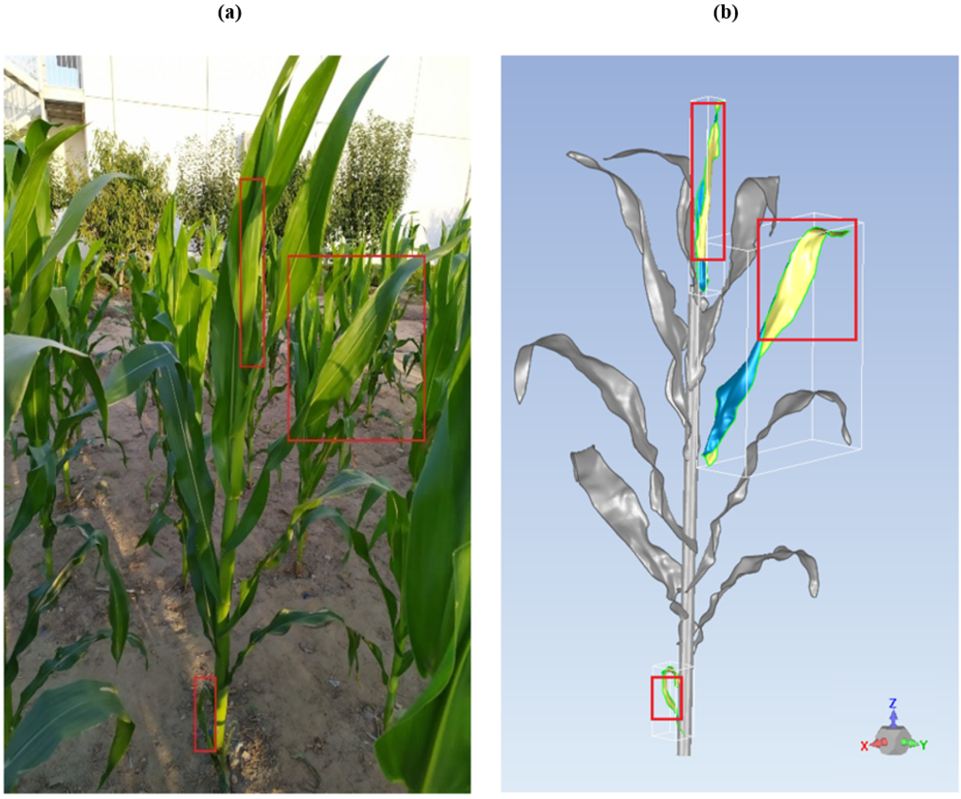 Remotesensing 13 03751 g005
