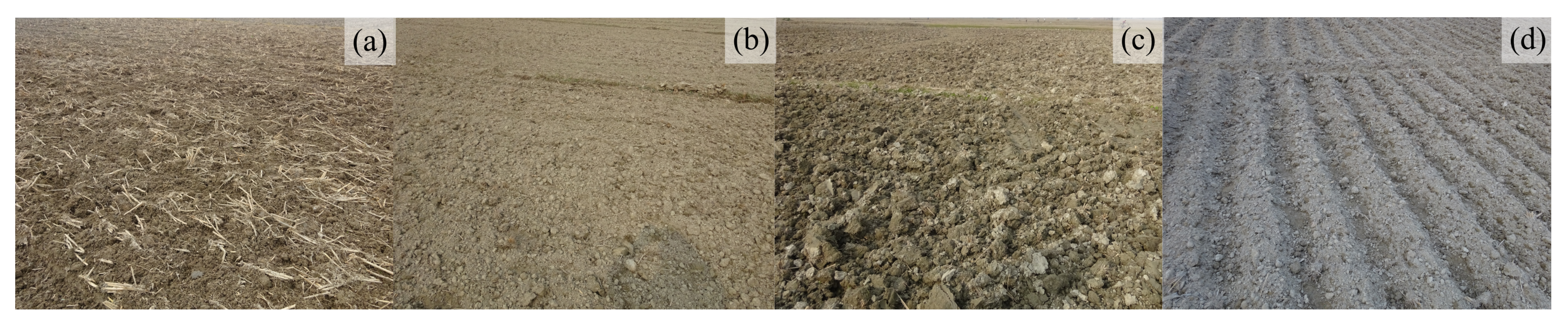 Remotesensing 13 03794 g004 550