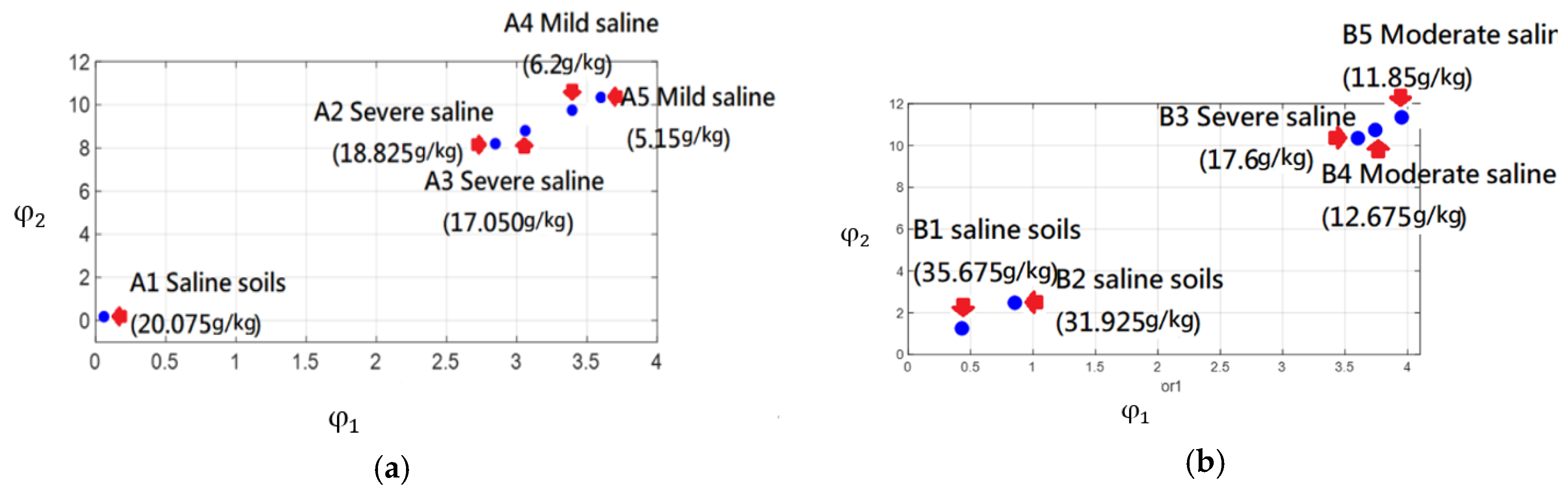 Remotesensing 13 03819 g011 550