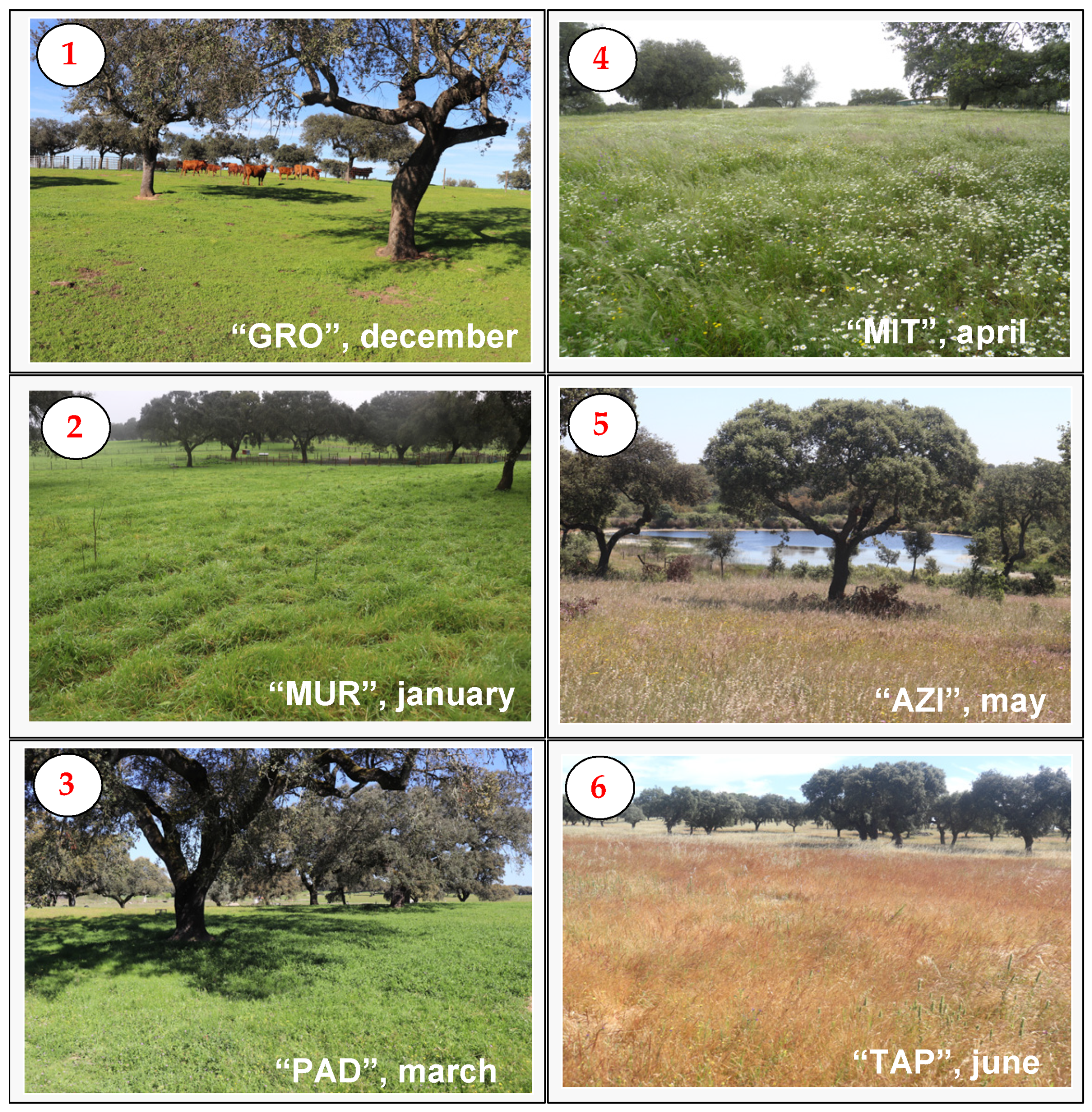 Remotesensing 13 03820 g003 550